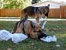 dscn4131.jpg