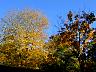 dscn4132.jpg
