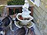 dscn4137.jpg