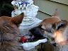 dscn4138.jpg