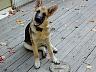dscn4145.jpg
