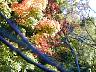 dscn4149.jpg
