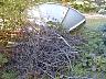 dscn4151.jpg