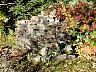 dscn4154.jpg