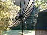 dscn4155.jpg