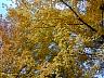 dscn4175.jpg