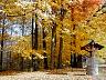 dscn4177.jpg