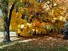 dscn4180.jpg