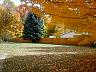 dscn4181.jpg