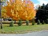 dscn4182.jpg