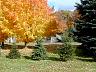dscn4183.jpg
