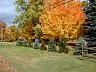 dscn4184.jpg