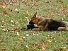 dscn4188.jpg