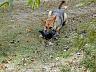 dscn4190.jpg
