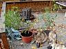 dscn4210.jpg