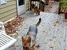 dscn4215.jpg