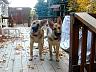 dscn4217.jpg