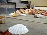 dscn4219.jpg