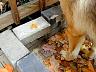 dscn4220.jpg