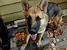 dscn4222.jpg