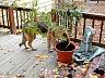 dscn4223.jpg