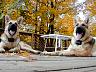 dscn4228.jpg