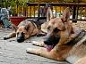dscn4229.jpg