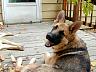 dscn4233.jpg