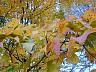 dscn4235.jpg