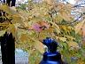 dscn4237.jpg