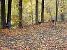 dscn4238.jpg