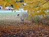 dscn4239.jpg