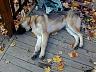 dscn4245.jpg