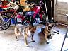dscn4249.jpg