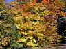dscn4259.jpg