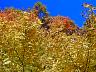 dscn4260.jpg