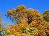 dscn4262.jpg
