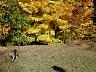dscn4263.jpg