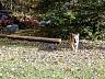 dscn4269.jpg